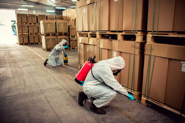 Best Bed Bug Extermination  in Tallapoosa, GA
