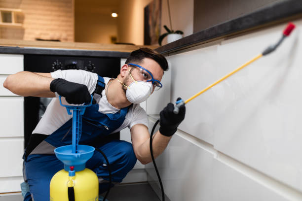 Best Mosquito Control Services  in Tallapoosa, GA