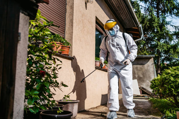 Best Wasp Removal Services  in Tallapoosa, GA