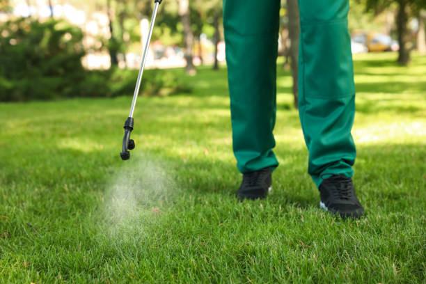 Best Local Pest Control Services  in Tallapoosa, GA