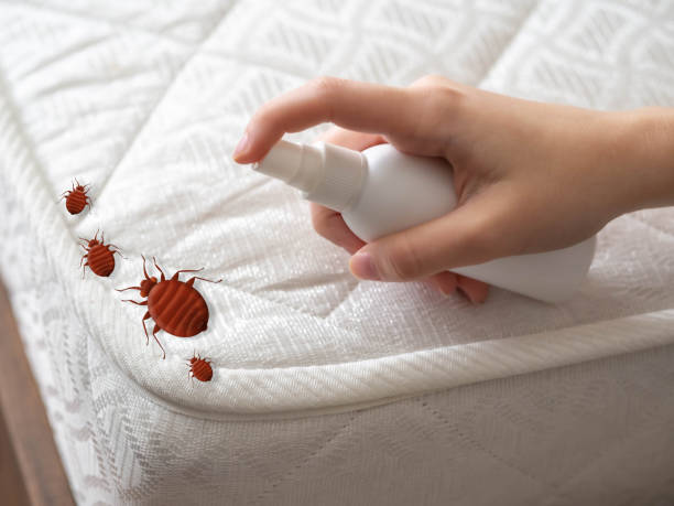 Best Commercial Pest Control Services  in Tallapoosa, GA